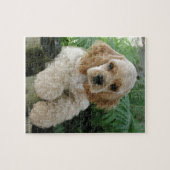 Puzzle Chien américain de cocker et la fougère verte (Horizontal)