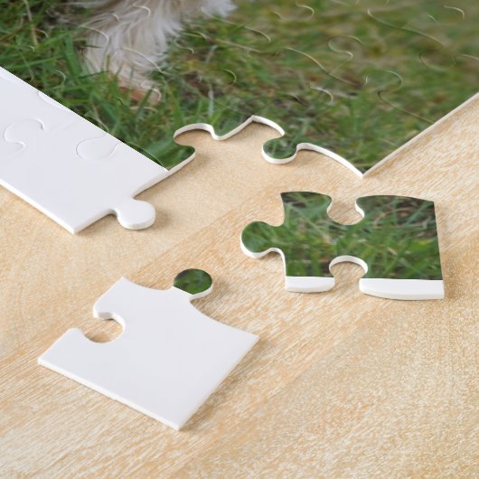 Puzzle Chien australien de Terrier soyeux (Côté)