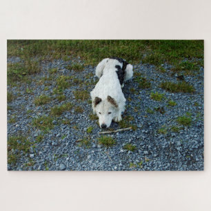 Puzzle Chien avec bâton