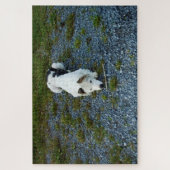 Puzzle Chien avec bâton (Vertical)