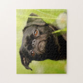 Puzzle Chien belge Griffon. (Vertical)