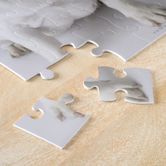 Puzzle Chien blanc (Côté)