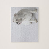 Puzzle Chien blanc (Vertical)