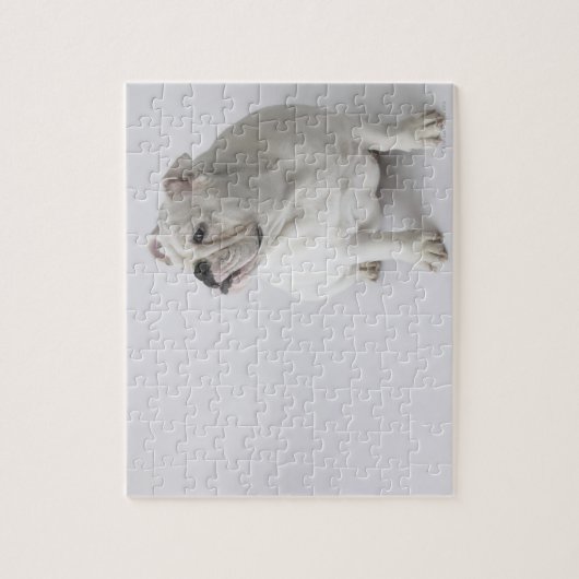Puzzle Chien blanc (Vertical)