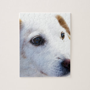 Puzzle Chien blanc aux yeux fidèles, Animaux Animaux Chie