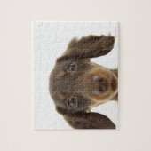 Puzzle Chien blanc (brun) 2 (Vertical)