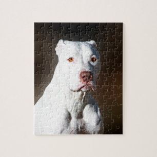 Puzzle Chien blanc de délivrance de Pitbull Terrier