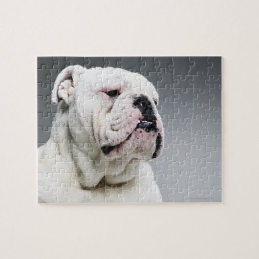 Puzzle Chien blanc de Taureau (Horizontal)
