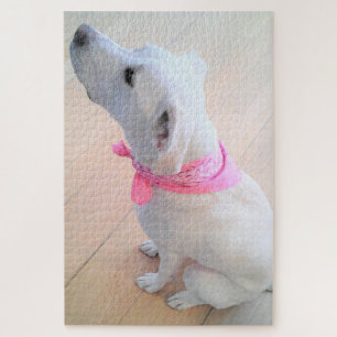 Puzzle Chien blanc mignon portant une écusson rose