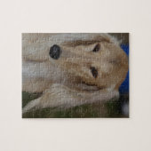 Puzzle Chien blond de Saluki (Horizontal)