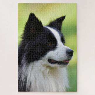 Puzzle Chien Border Collie noir et blanc