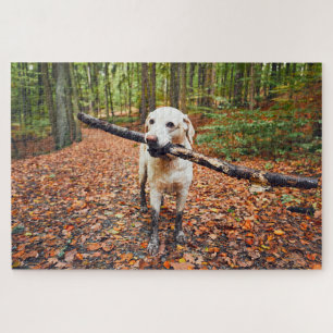 Puzzle Chien boueux Dans La Nature D'Automne