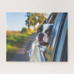 Puzzle Chien Bouledogue Français heureux drôle fenêtre de