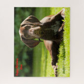 Puzzle Chien Braque Allemand. (Vertical)