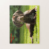 Puzzle Chien Braque allemand. (Vertical)