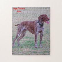 Chien Braque Allemand.