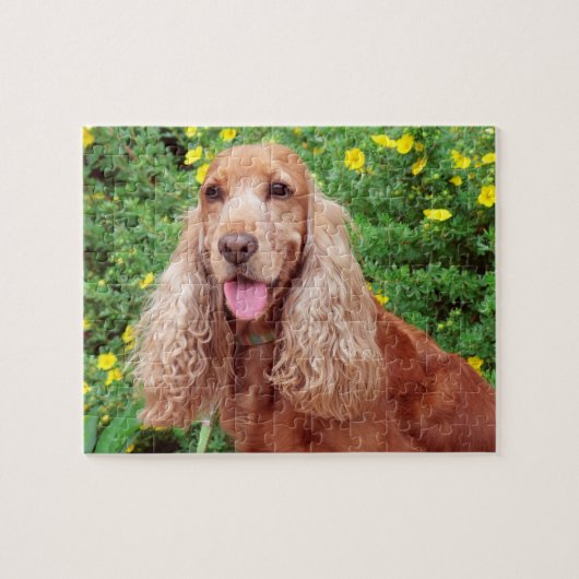 Puzzle Chien Brown Fluffeux (Horizontal)