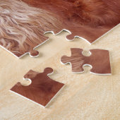 Puzzle Chien Brown Fluffeux (Côté)