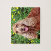 Puzzle Chien Brown Fluffeux (Vertical)