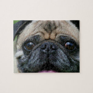 Puzzle Chien carlin