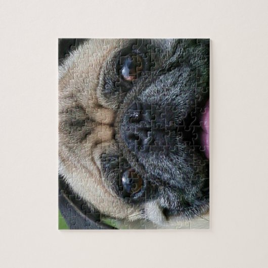 Puzzle Chien carlin (Vertical)