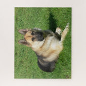 Puzzle Chien Chien Chien Chien Chien Chien Allemand Puzzl (Vertical)