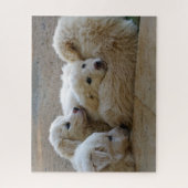 Puzzle Chien Chien Chien Chien Chien Chien Chien Chien Bl (Vertical)