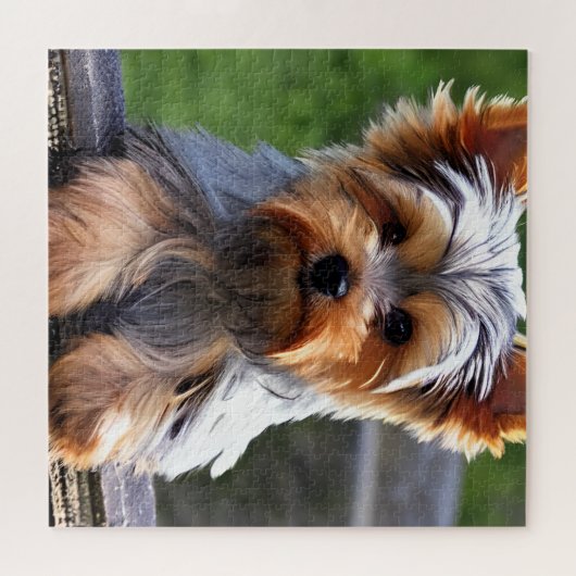 Puzzle Chien Chien Chien Chien Chien Chien Chien Chien Ch (Horizontal)