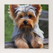 Puzzle Chien Chien Chien Chien Chien Chien Chien Chien Ch (Vertical)