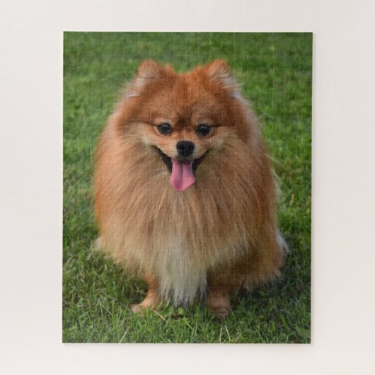 Puzzle Chien Chien Chien Chien Chien Chien Chien Chien Po (Vertical)
