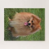 Puzzle Chien Chien Chien Chien Chien Chien Chien Chien Po (Horizontal)