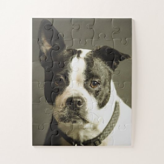 PUZZLE CHIEN, CHIEN NOIR ET BLANC (Vertical)