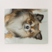 Puzzle Chien chihuahua, Chien chiot, long et lourd (Horizontal)
