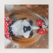 Puzzle Chien chiite Brown et blanc Tzu Chien chiot (Horizontal)