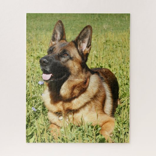 Puzzle Chien chiot allemand (Vertical)