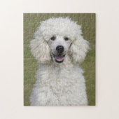Puzzle Chien chiot blanc bouffonné (Vertical)