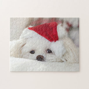 Puzzle Chien chiot maltais blanc mignon dans un chapeau d