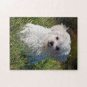 Puzzle Chien chiot maltais blanc mou (Horizontal)