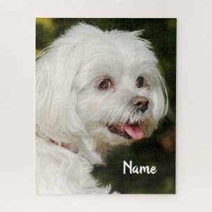 Puzzle Chien chiot maltais blanc personnalisé