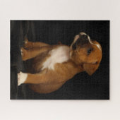 Puzzle Chien chiot mignon Français Staffordshire Bull Ter (Horizontal)