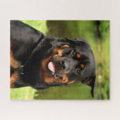 Puzzle Chien chiot noir et tan Rottweiler (Horizontal)
