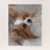 Puzzle Chien chiot Papillon amical (Vertical)