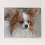 Puzzle Chien chiot Papillon amical (Horizontal)