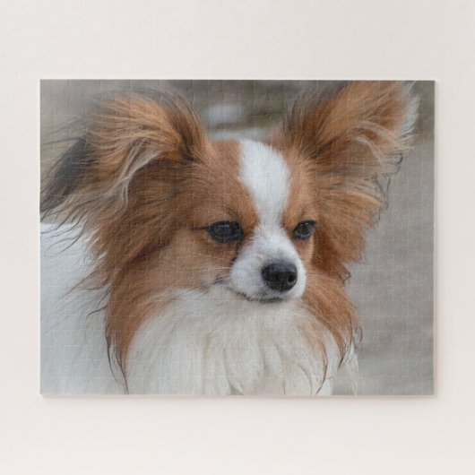 Puzzle Chien chiot Papillon amical (Horizontal)