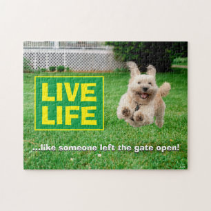 Puzzle Chien Courant Dans Le Jardin