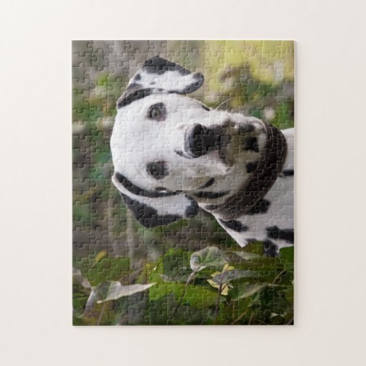 Puzzle Chien dalmate (Vertical)