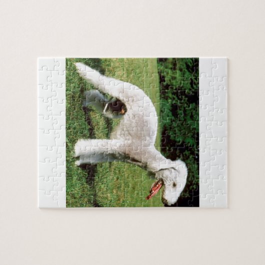 Puzzle Chien de Bedlington Terrier (Horizontal)