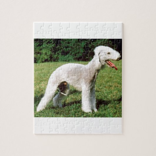 Puzzle Chien de Bedlington Terrier (Vertical)