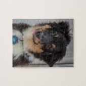 Puzzle Chien de berger australien (Horizontal)