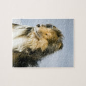 Puzzle Chien de berger de Shetland (Horizontal)